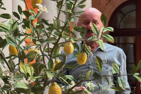 Как украинский архитектор заработал состояние на фарфоровых цветах