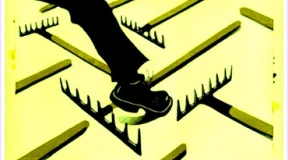 Власти планируют взять под контроль цены на рынках – словно мало было картофельного позора
