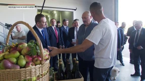 Лысенков: «Зачем продавать яблоко по 3 рубля, если можно по 5 — и все равно заберут»