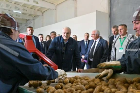 «До воплощения КВНовской шутки про перебор картошки по телефону: «Хорошая… хорошая… плохая…» — осталось всего ничего»